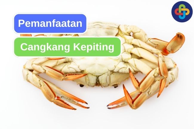 8 Potensi Pemanfaatan Cangkang Kepiting 